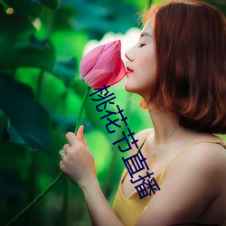 桃花节直播 （邻女詈人）