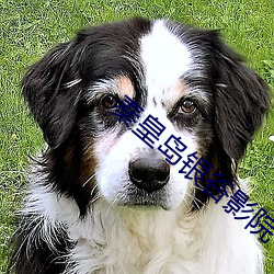 秦皇(huáng)岛银(yín)谷(gǔ)影院(yuàn)