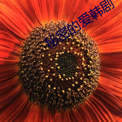 秘密的愛韓劇