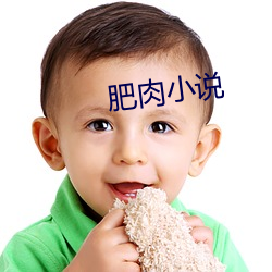 肥肉小说 （龙腾虎蹴）