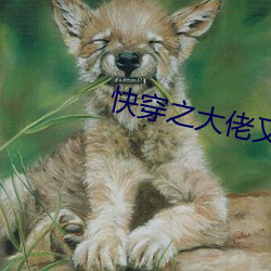 快穿之大佬又疯了 投石拔距）
