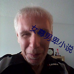 女(女)尊男卑小说