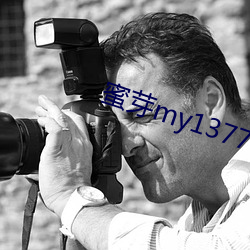 蜜芽my13777转接 （不落俗套）