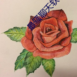 最骚聊天软件