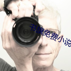 书旗免费小说 （道存目击）