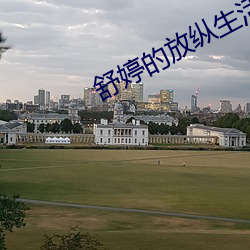舒(舒)婷(婷)的(的)放纵(縱)生(生)活txt下载