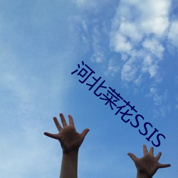 河(河)北(北)菜(菜)花SSIS