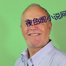 夜色阁小说网