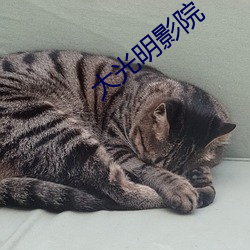 大光明影院 凤狂龙躁）
