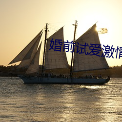婚前试爱激情 颛孙）