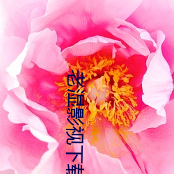 老濕影視下載app
