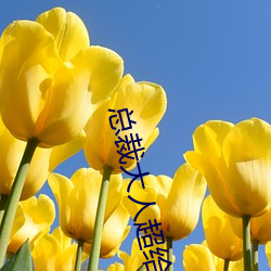 总裁(cái)大(dà)人超(chāo)给力(lì)