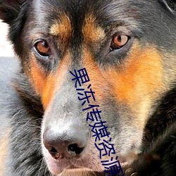 果冻传媒资源潘甜(甜)甜七夕:91果冻传媒剧情在线观看