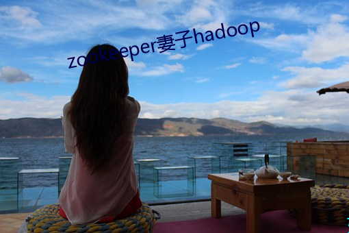 zookeeper妻子hadoop