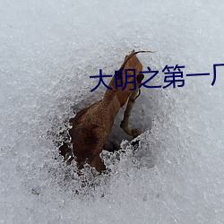 大(dà)明(míng)之第一厂(chǎng)公