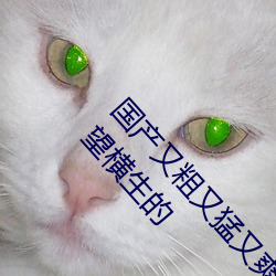 国产又粗(cū)又猛(měng)又爽又黄的视频小编(biān)力荐:一款令人欲望横生的