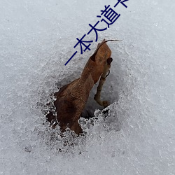 一本大道卡1卡2卡3乱(亂)码