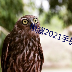 槽溜2021手機入口