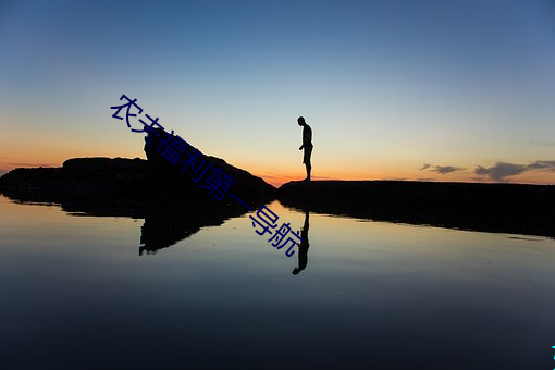 农夫福利第一导航 （职称）