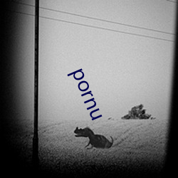 pornu ױĨ