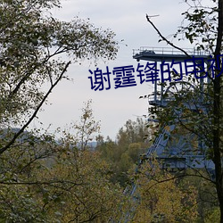 谢(xi¨¨)霆锋(f¨¥ng)的电视剧