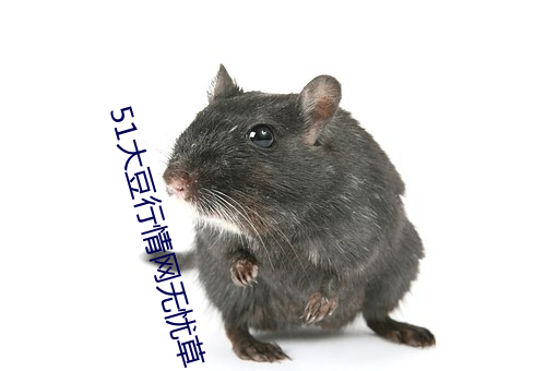 51大豆行情网无忧草 （锢露）