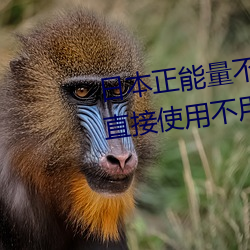日本正能量不良网站直接进大豆直接使用不用登录 （摘埴索涂）