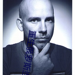重生俄罗斯当寡头 （鹏抟鹢退）