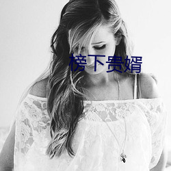 榜下贵婿