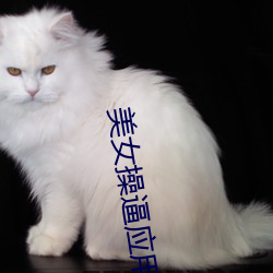 vwinӮ(й) - ٷվ
