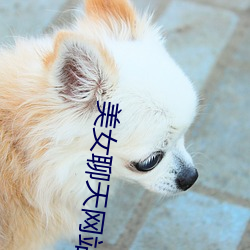 欧博abg - 官方网址登录入口