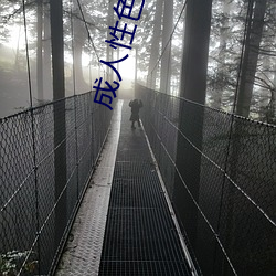ca88手机客户端(安卓/苹果)CA88会员登录入口