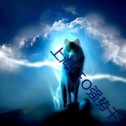 上海CEO强势千