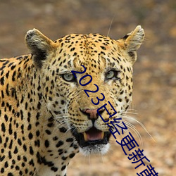 2023已经(jīng)更新(xīn)黄色软件app下载3.0.3免费vivo版大全(quán)装扮(bàn) v5