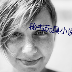 秘书玩具小说