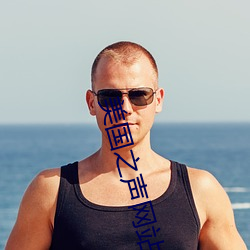美(美)国之声(聲)网站