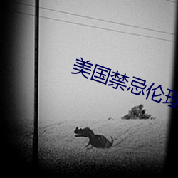 美国(國)禁(禁)忌(忌)伦理片免费观看