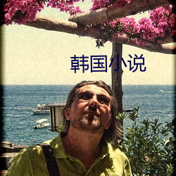 韩国小说