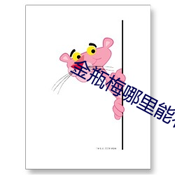 金瓶(píng)梅哪里能看