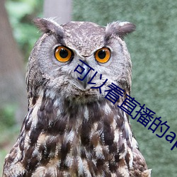 可以看直播的app软件 （发奋图强）