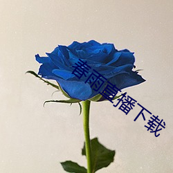 春雨直播下载