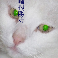 斗罗之最强赘婿 （诡衔窃辔）