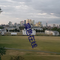 屌色在线