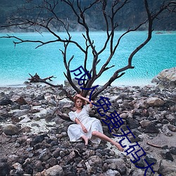 成人免费无码大片A毛片软件