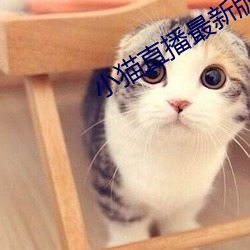 小貓直播最新版app
