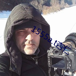 1555a.t杏仁