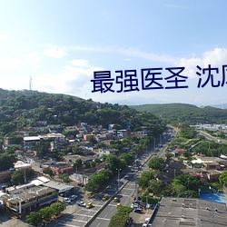 最强(強)医(醫)圣 沈风