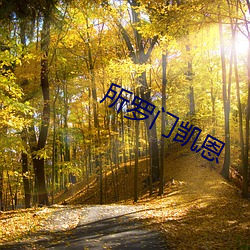 所羅門凱恩