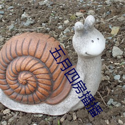 五月四房播播
