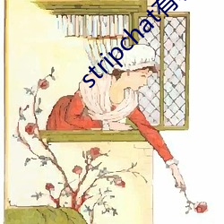 stripchat有哪些主(主)播(播)